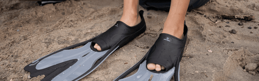 So bekämpfst du Wasserwarzen